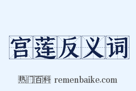 宫莲反义词是什么意思的图片